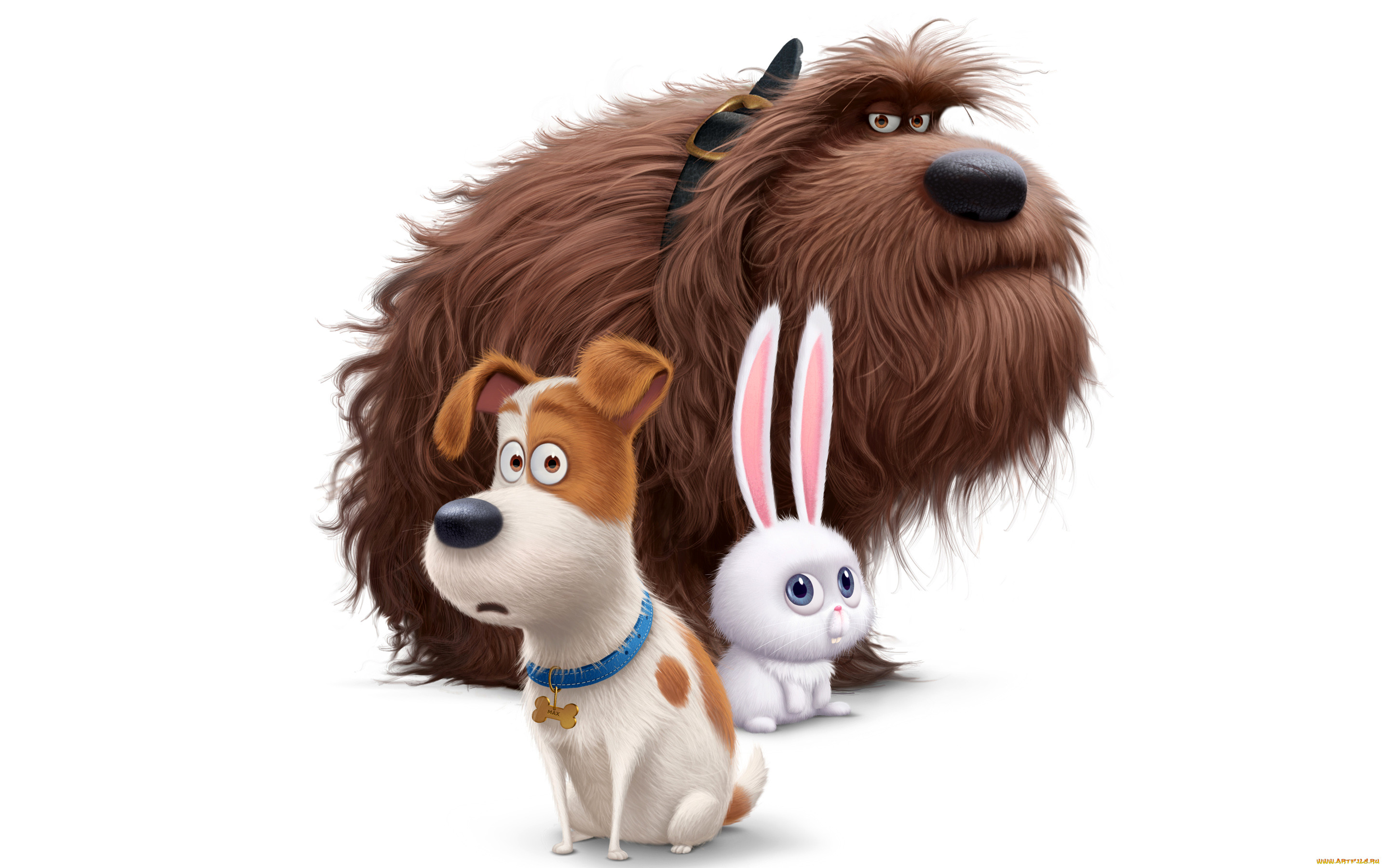 , the secret life of pets, the, secret, life, of, pets